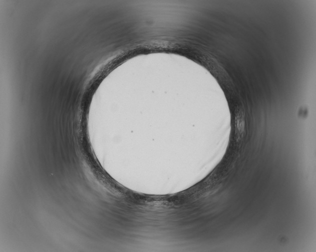 X0000113990396200911131122