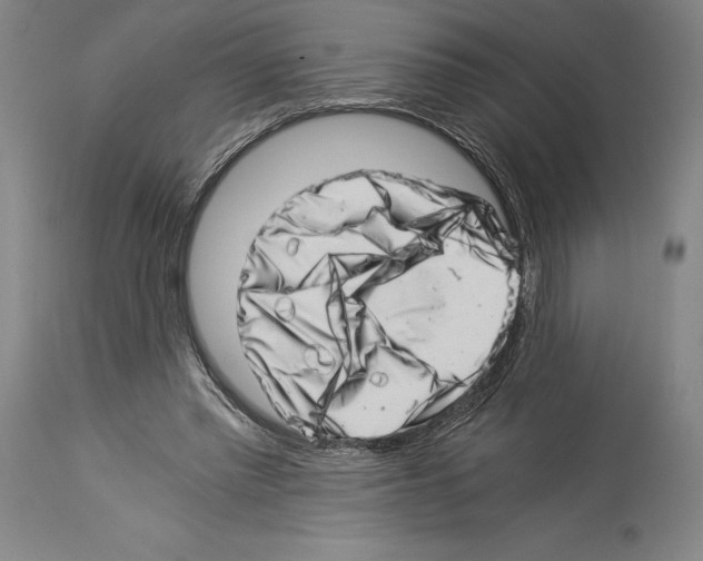 X0000113990397200911131122