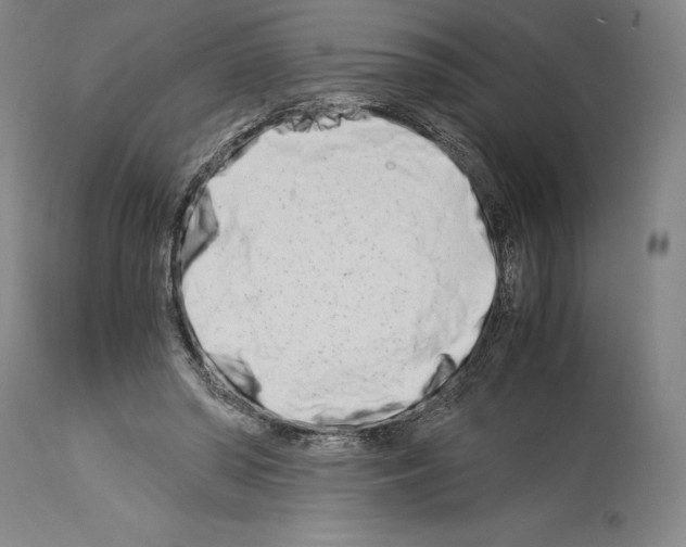 X0000113990398200911131122