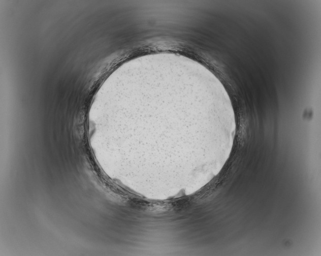 X0000113990402200911131122