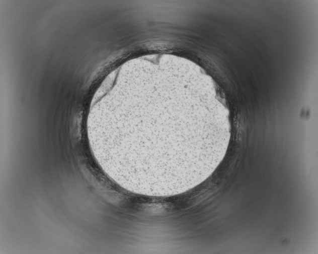 X0000113990404200911131122