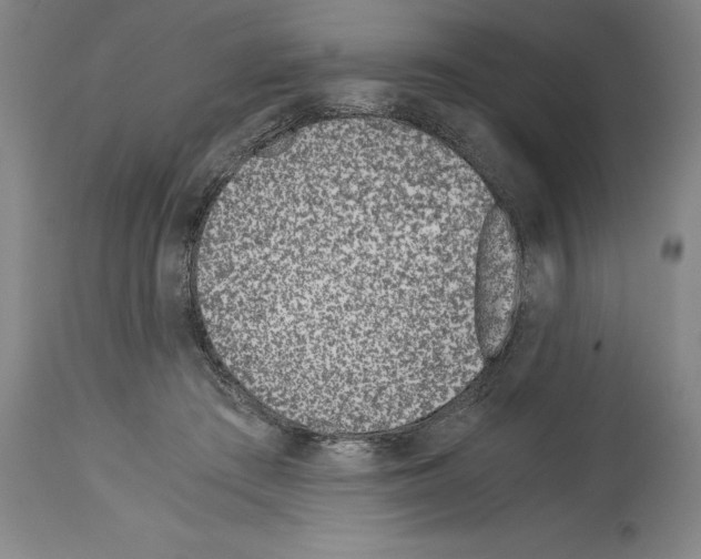 X0000113990409200911131122