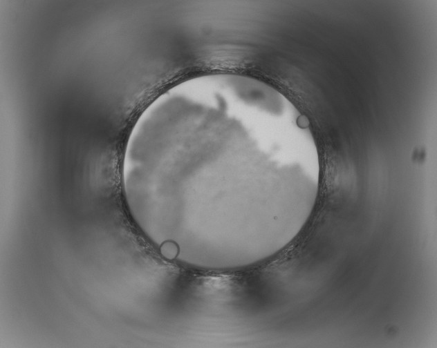 X0000113990411200911131122