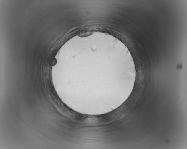 X0000113990413200911131122