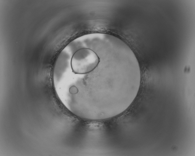 X0000113990415200911131122