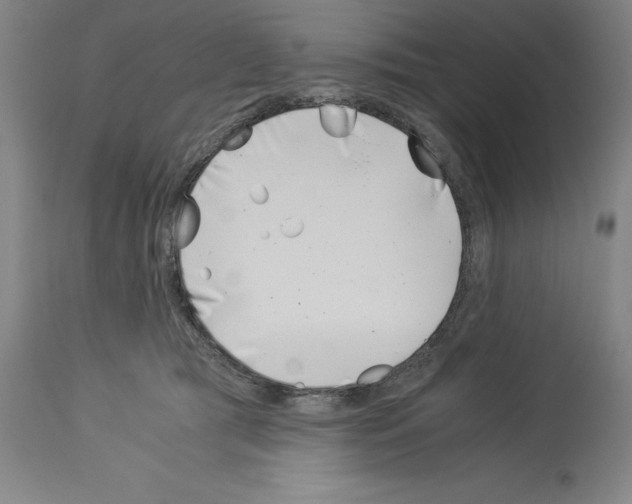 X0000113990417200911131122