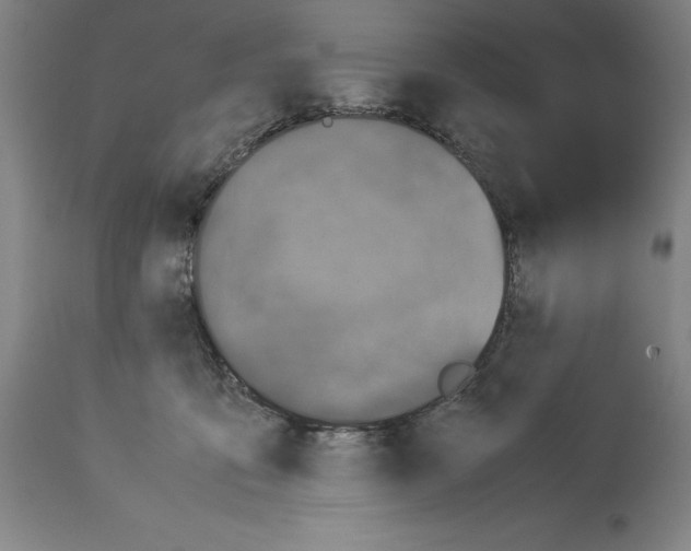 X0000113990419200911131122