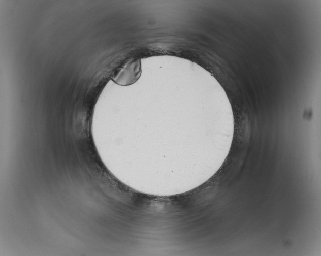 X0000113990420200911131122