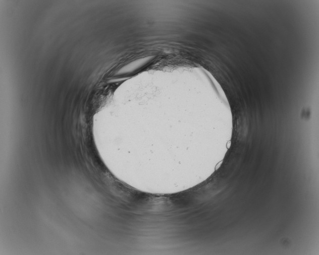 X0000113990424200911131122