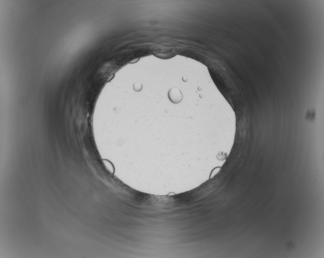 X0000113990429200911131122