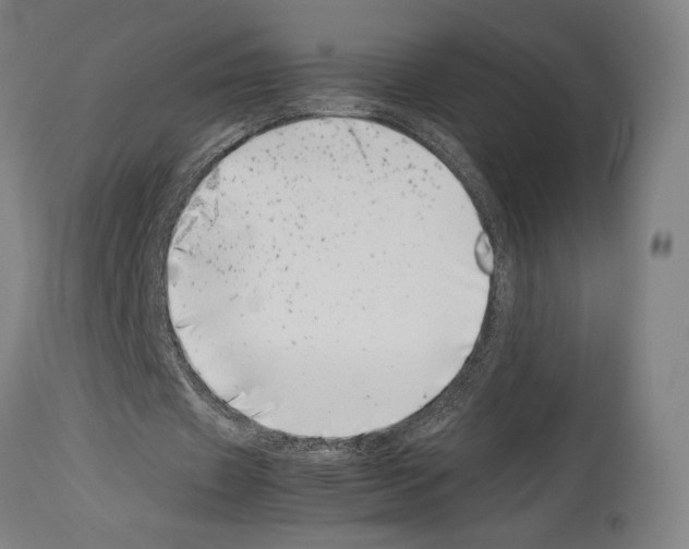 X0000113990433200911131121