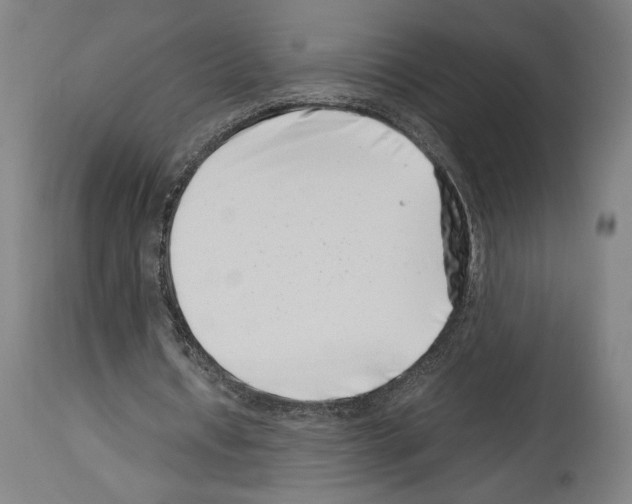 X0000113990434200911131121