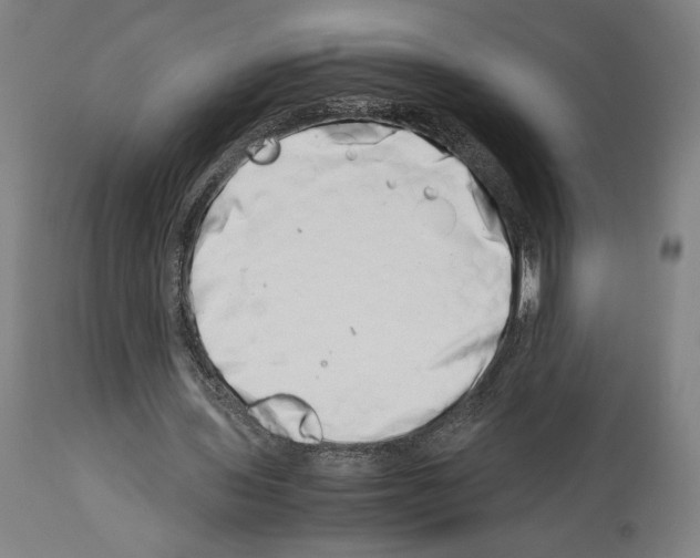 X0000113990435200911131121