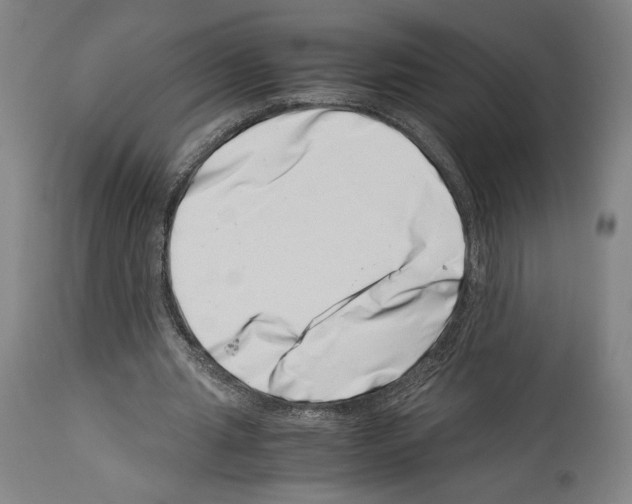 X0000113990437200911131121