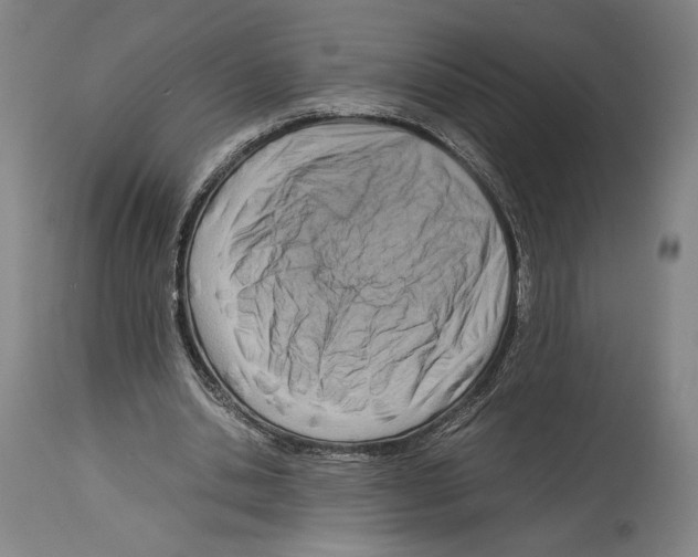 X0000113990438200911131121