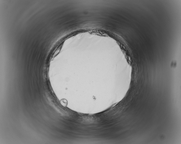 X0000113990439200911131121