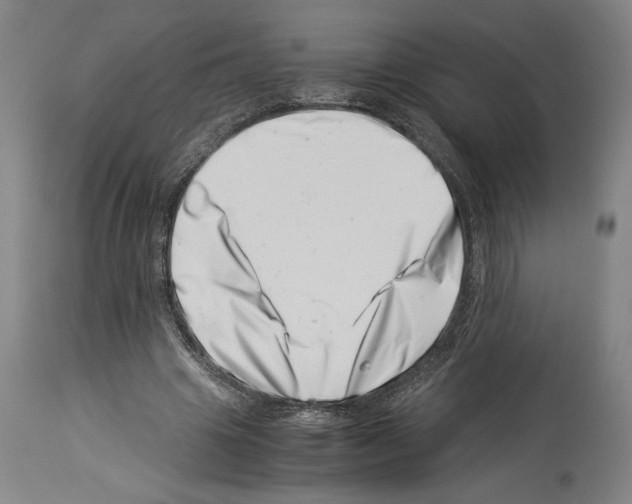 X0000113990441200911131121