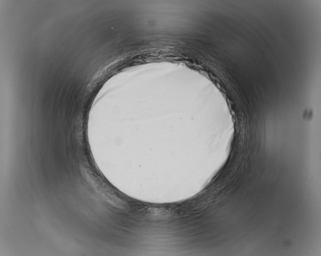 X0000113990442200911131121