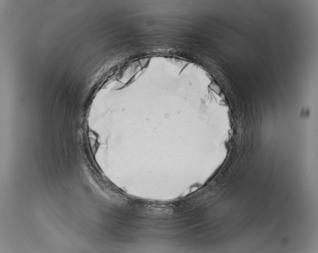 X0000113990443200911131121