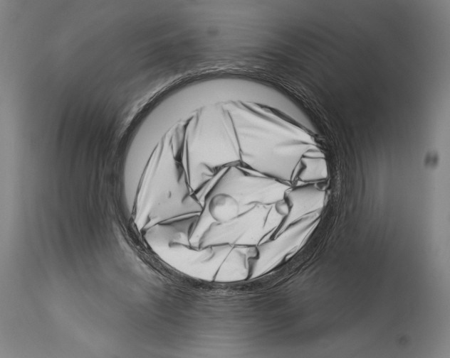 X0000113990444200911131121