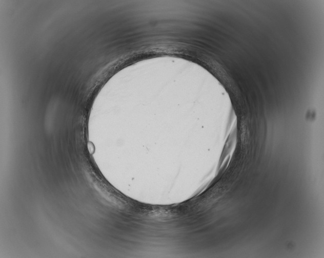 X0000113990445200911131121