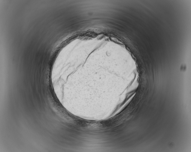 X0000113990446200911131121