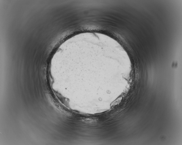 X0000113990447200911131121