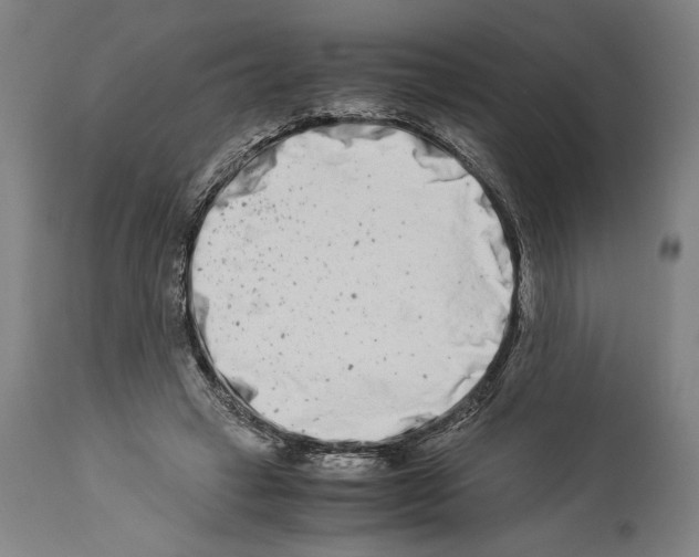 X0000113990449200911131121