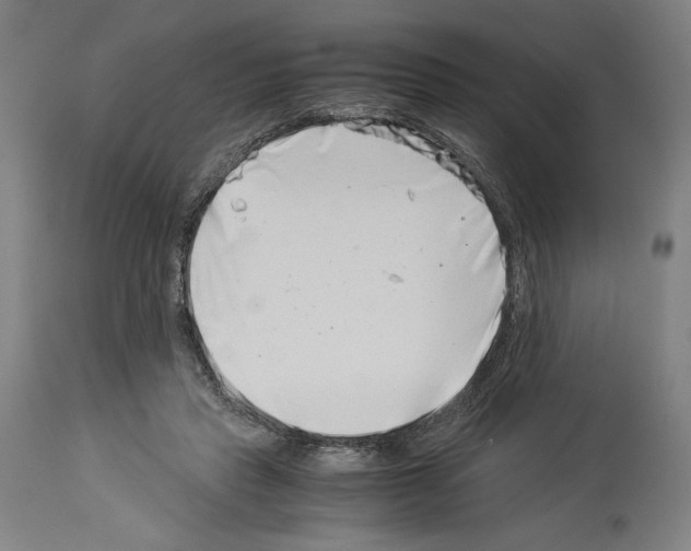 X0000113990453200911131122