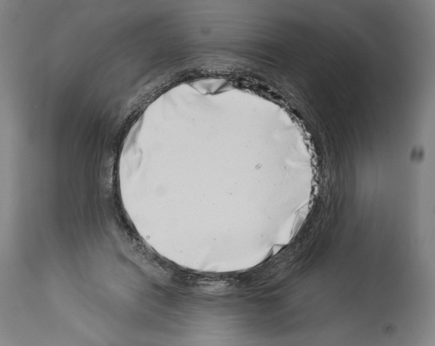 X0000113990454200911131122