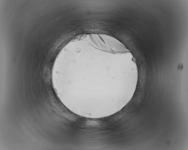 X0000113990457200911131122