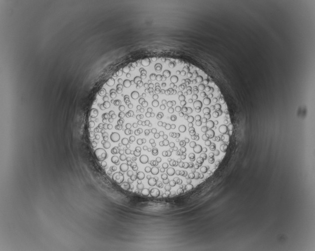 X0000113990458200911131122