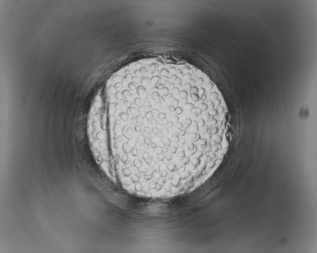 X0000113990462200911131122