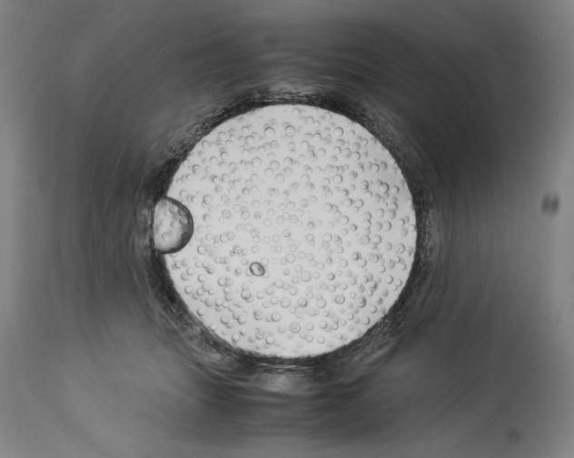 X0000113990463200911131122