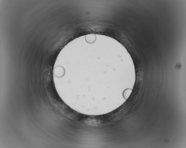 X0000113990464200911131122