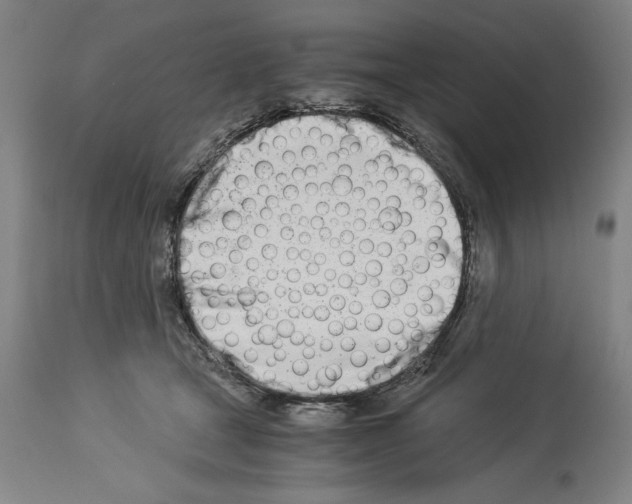 X0000113990465200911131122