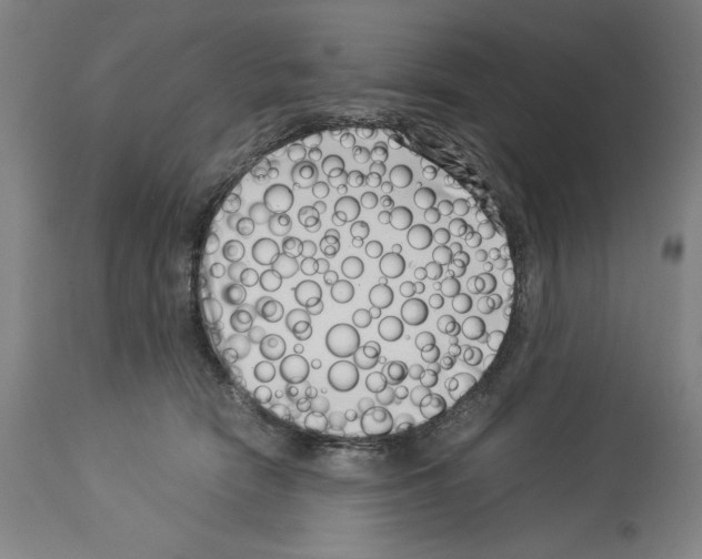 X0000113990466200911131122