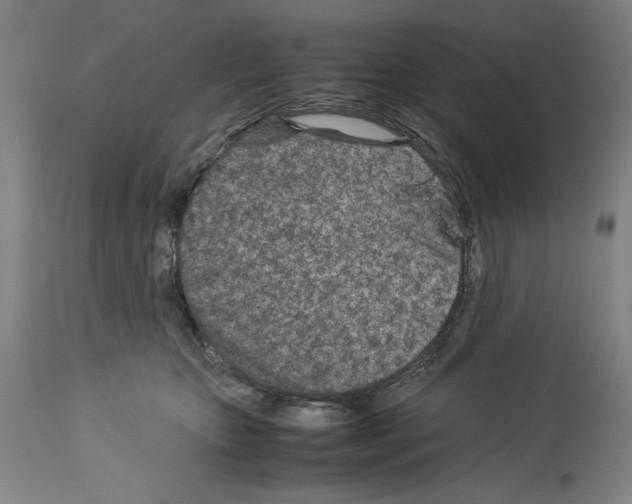 X0000113990467200911131122