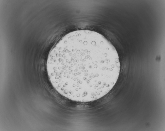 X0000113990470200911131122