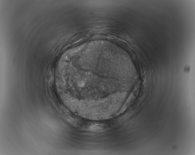 X0000113990471200911131122