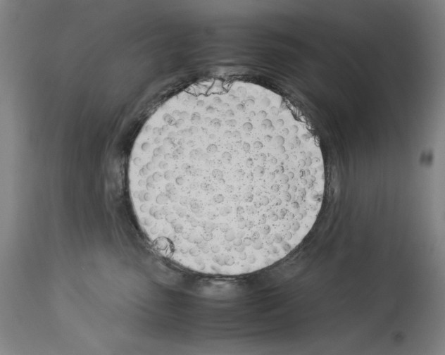 X0000113990475200911131122