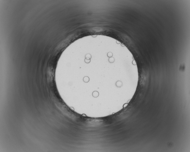 X0000113990476200911131122