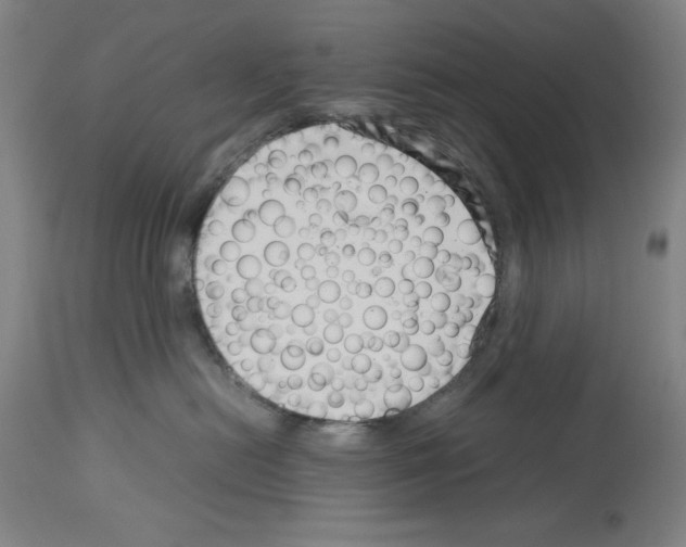 X0000113990478200911131122