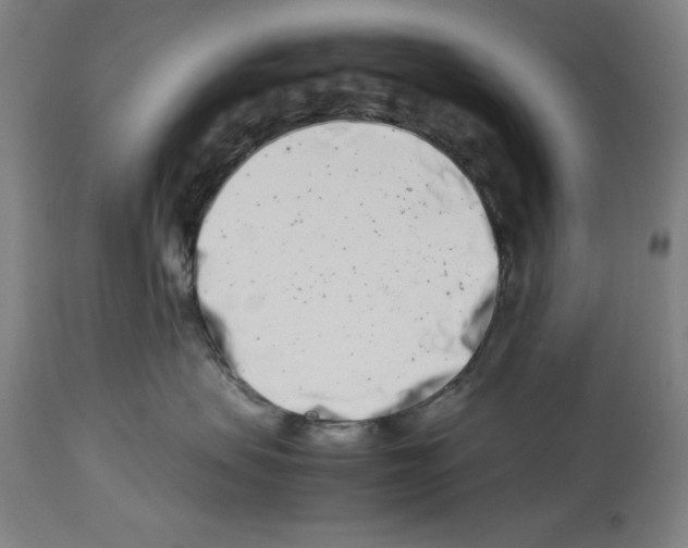 X0000113990479200911131122