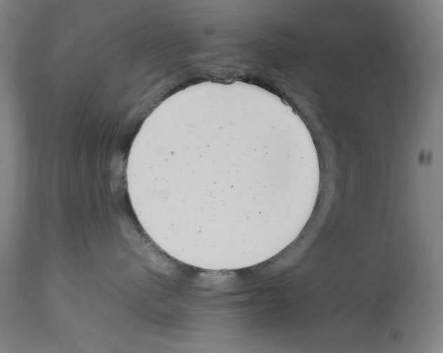 X0000113990480200911131122