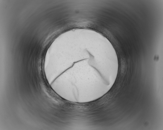 X0000113990486200911131121