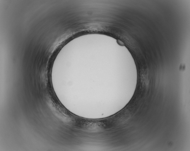 X0000113990488200911131121