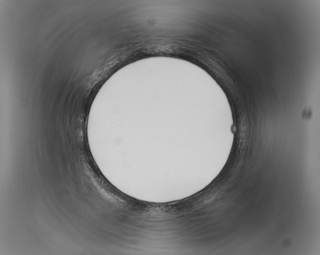 X0000113990489200911131121