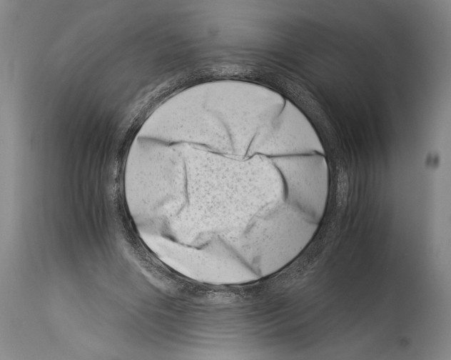 X0000113990490200911131121