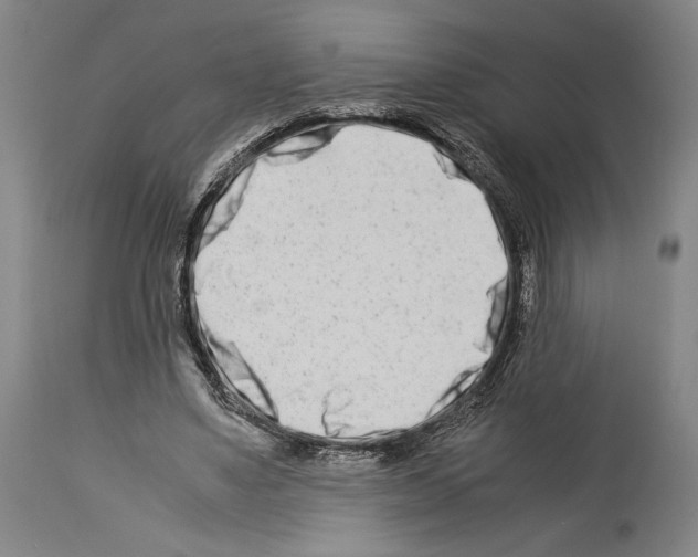 X0000113990491200911131121